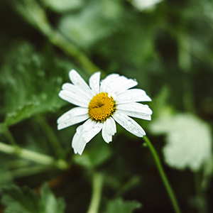 f6c70590_20220414082751A034